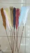 تقليد قصب حقيقي Item Picture